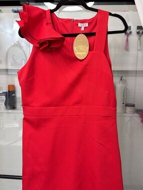 Red One-Shoulder Ruffle Sheath Dress